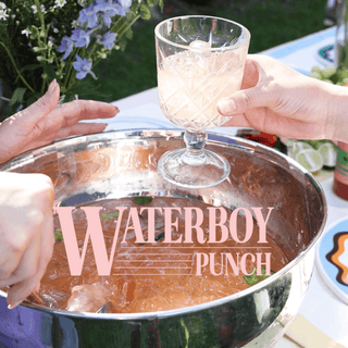 12 Days of Christmas Cocktails: Waterboy Punch🍉 - Mr. Consistent